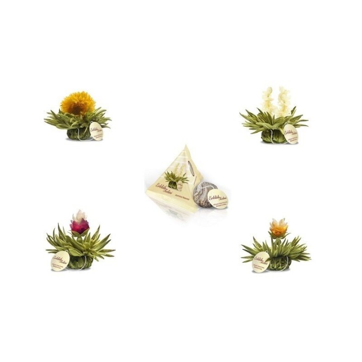 Pack com 4 Flores de Chá Tealini