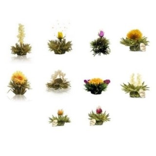 Pack com 10 Flores de Chá (4 Tealini + 6 Creano)