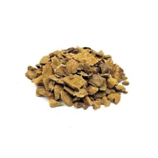 Ruibarbo, Raiz (Rheum palmatum L.) - 50grs