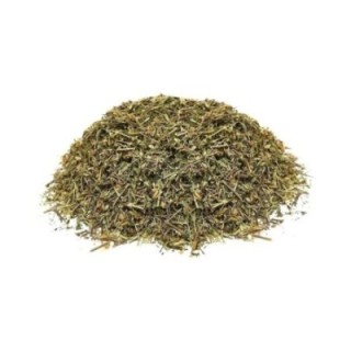 Eufrásia, Planta (Euphrasia officinalis L.) - 50grs