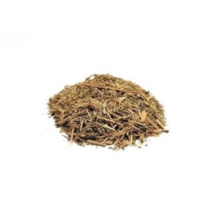 Epilóbio, Planta (Epilobium angustifolium) - 500grs