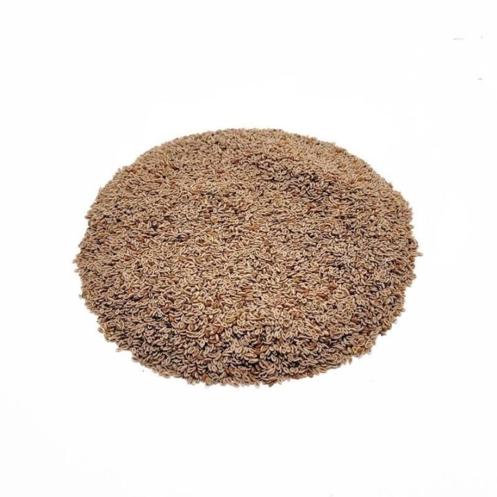 Psílio Claro, Sementes (Plantago ovata F.) - 100grs