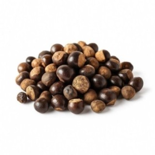 Guaraná, Bayas (Paullinia cupana) - energizante - Bolsa de 1Kg