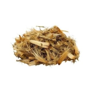Alcachofra, Planta (Cynara scolymus) - 200grs