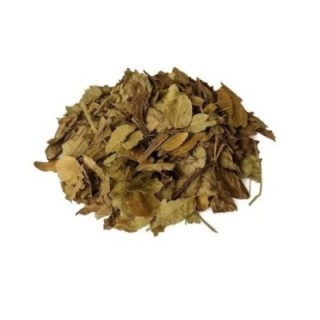 Arandos / Mirtilos, Folhas (Vaccinium Myrtillus) - 1Kg