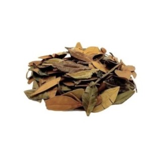 Aroeira Hojas – Bolsa de 50 g - bienestar urinario