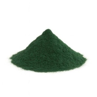 Spirulina Pó – Bolsa de 100grs - bem‑estar geral