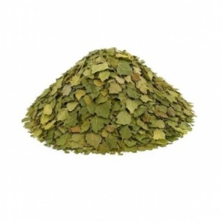 Hojas de abedul – Bolsa de 1 kg - drenaje de líquidos