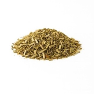 Planta Equinácea – Bolsa de 50 g - digestión