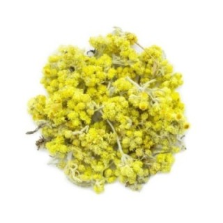 Perpétua das Areias, Planta (Helichrysum italicum L.) - 1kg