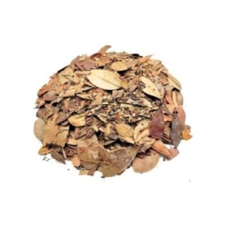 Pedra Hume Caá Folhas – Bolsa de 1 kg - digestión