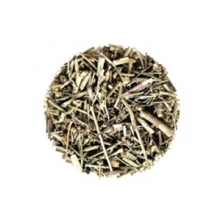 Crisântemo / Matricária Planta – Bolsa de 1Kg - relaxamento