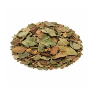 Nespereira Folhas – Bolsa de 1Kg - digestão