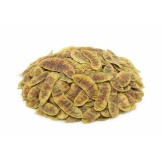 Sene Folículos – Bolsa de 1 kg - tránsito intestinal