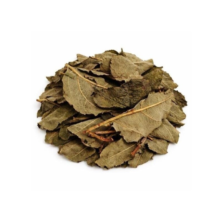 Macieira Folhas – Bolsa de 1Kg - digestão