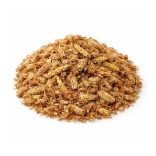 Renovos de pino – Bolsa de 500 g - bienestar general