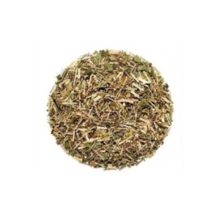 Erva Coalheira Planta – Bolsa de 1Kg - alívio de gases