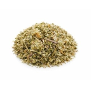 Planta de ortiga blanca – Bolsa de 1 kg - drenaje de líquidos