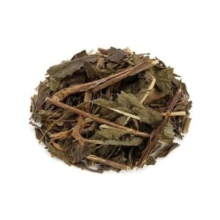 Carqueja Amarga Planta – Bolsa de 1Kg - digestão