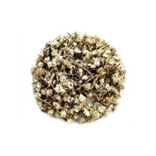 Planta Erva Prata – Bolsa de 1 kg - alivio de gases