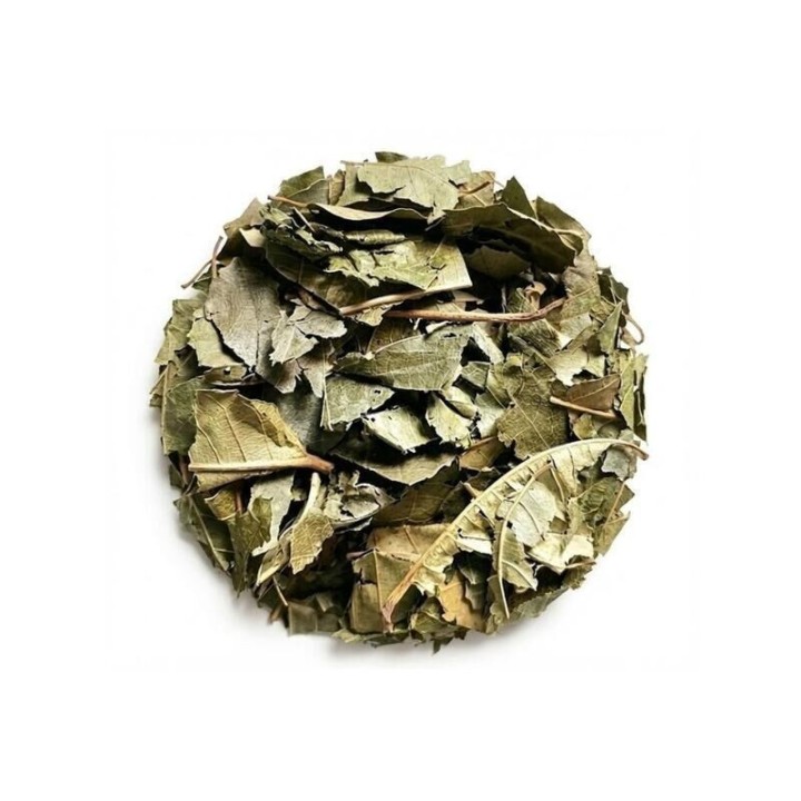 Hojas de castaño – Bolsa de 1 kg - digestión