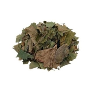 Avenca Planta – Bolsa de 1Kg - digestão