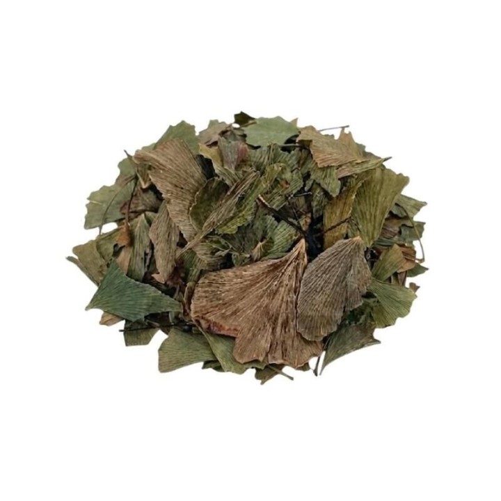 Avenca Planta – Bolsa de 1Kg - digestão