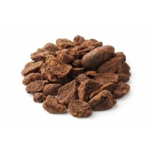Nuez de cola, frutos (Cola nitida A. Chev.) - 1 kg
